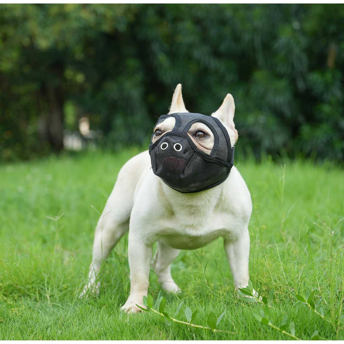 Short Snout Adjustable Breathable Mesh Dog Muzzle D59061