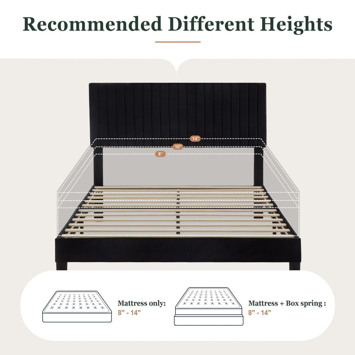 Queen Size Black Velvet Upholstered Platform Bed Frame N569461