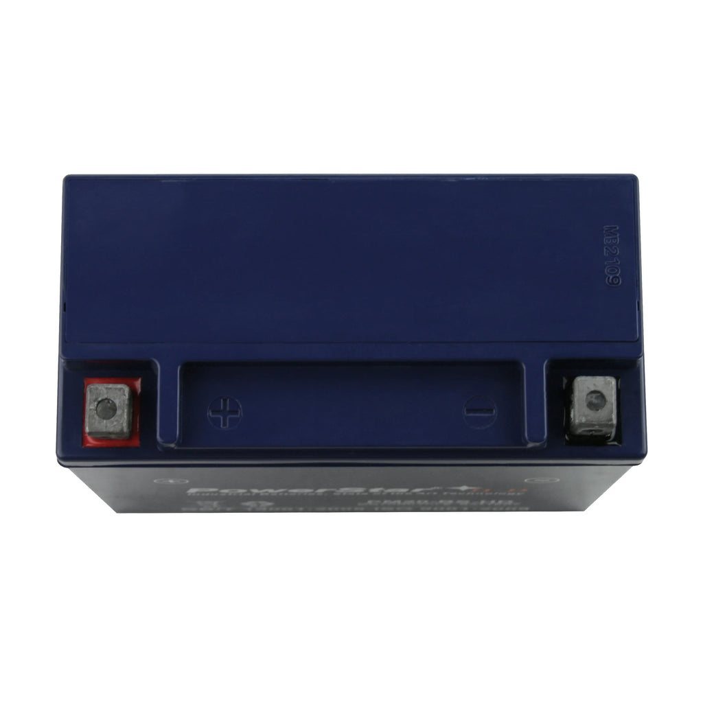 12 Volt Motorcycle Battery T766044