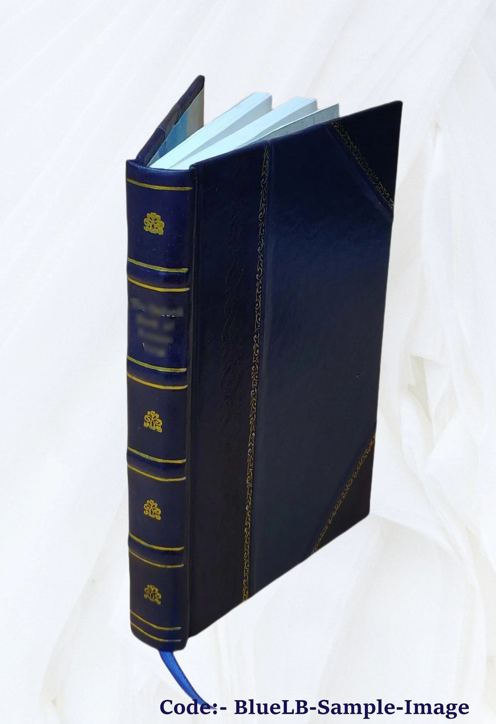 Leather Bound Book W44142