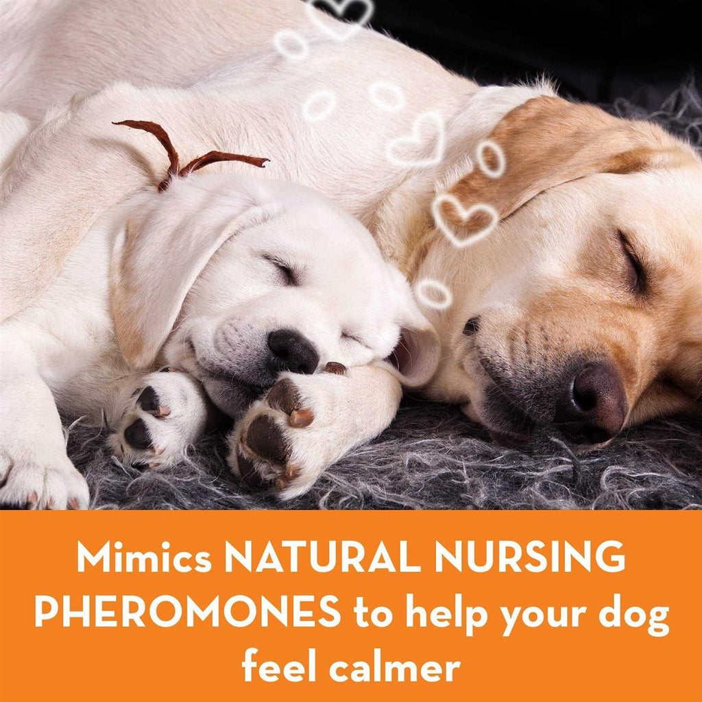 Calming Spray for Dogs F2769
