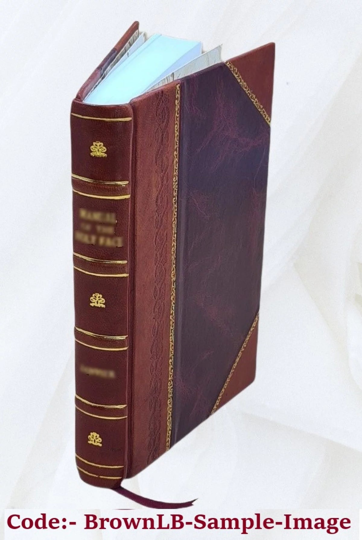 Leather Bound Book W44142