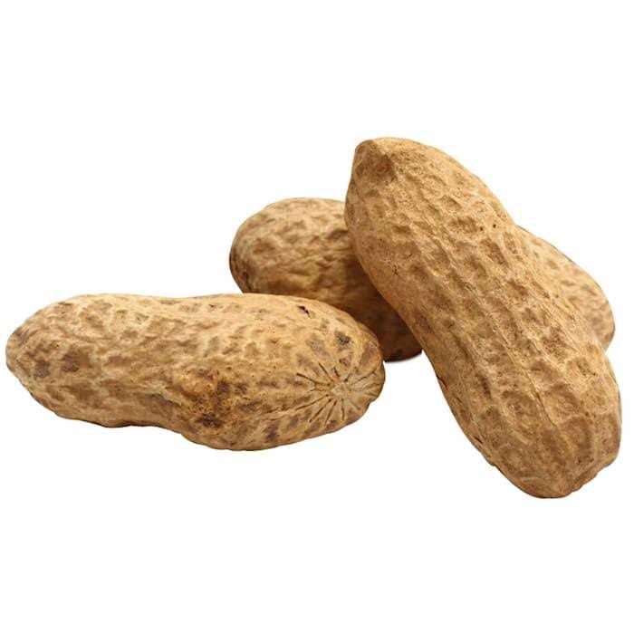 Unsalted In-Shell Whole Peanuts Bird Food D395520