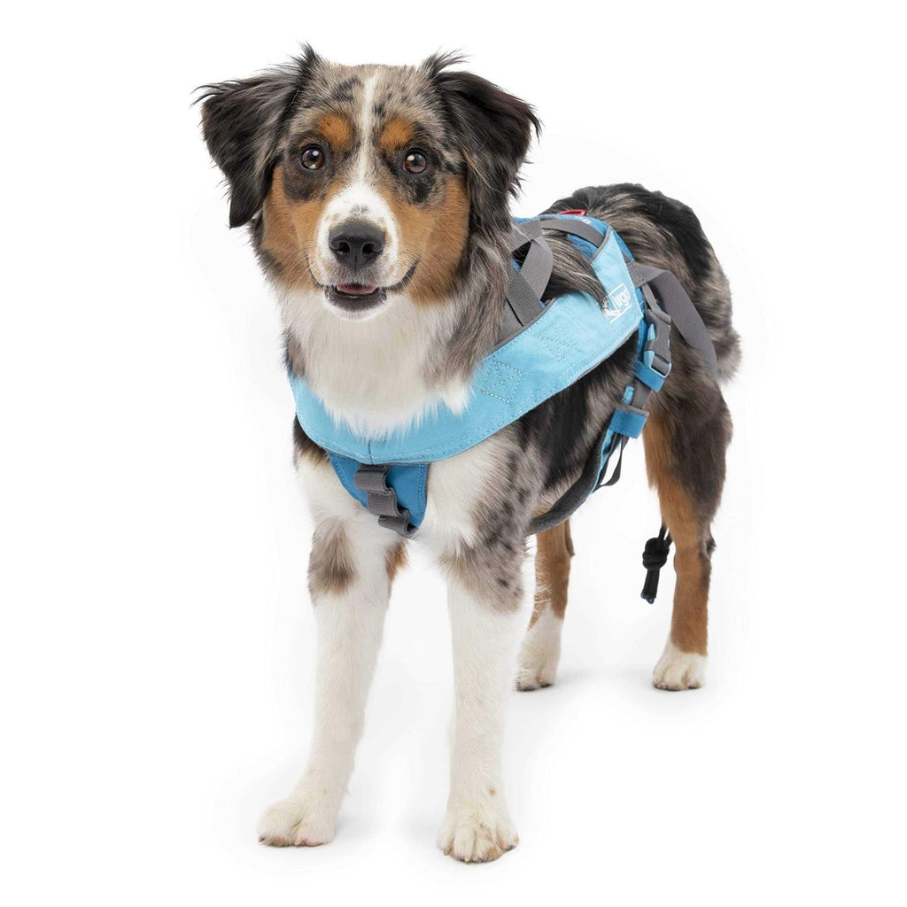 Dog Harness R535509