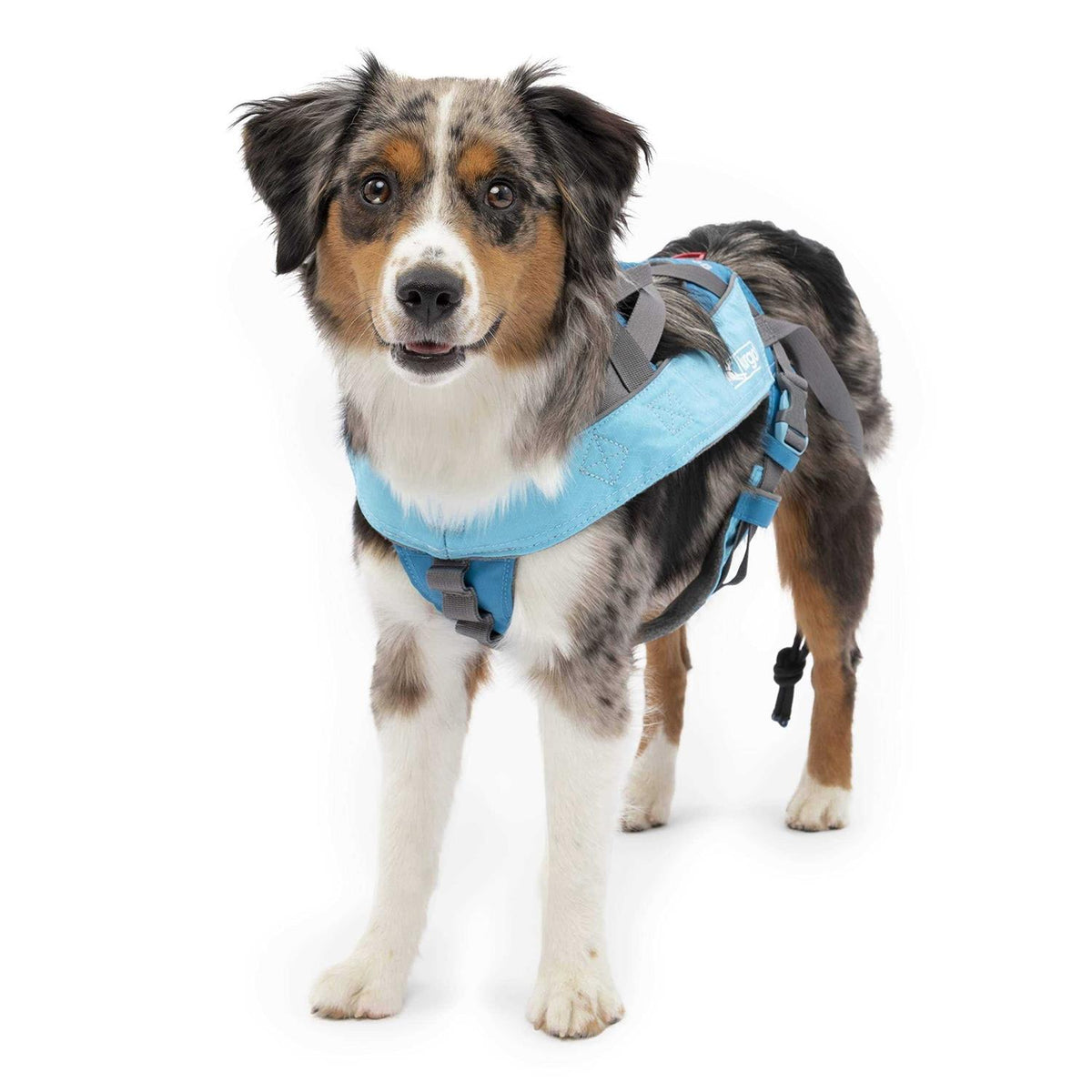 Dog Harness R535509