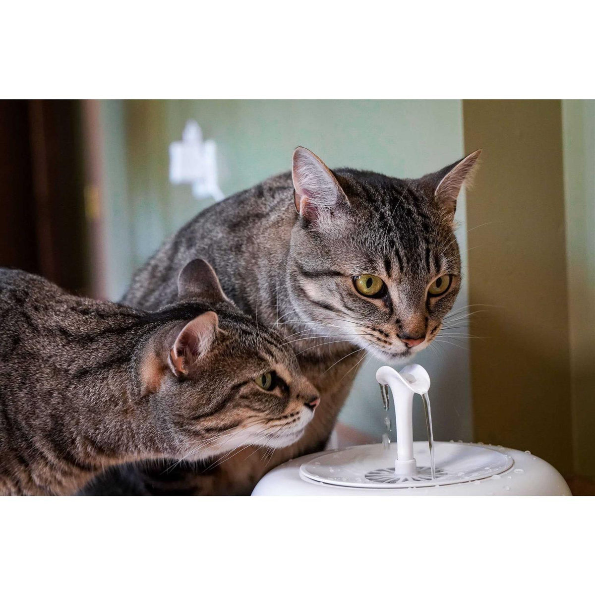 Water Fountain for Cats and Small Dogs with 5-Layer Filter T2335