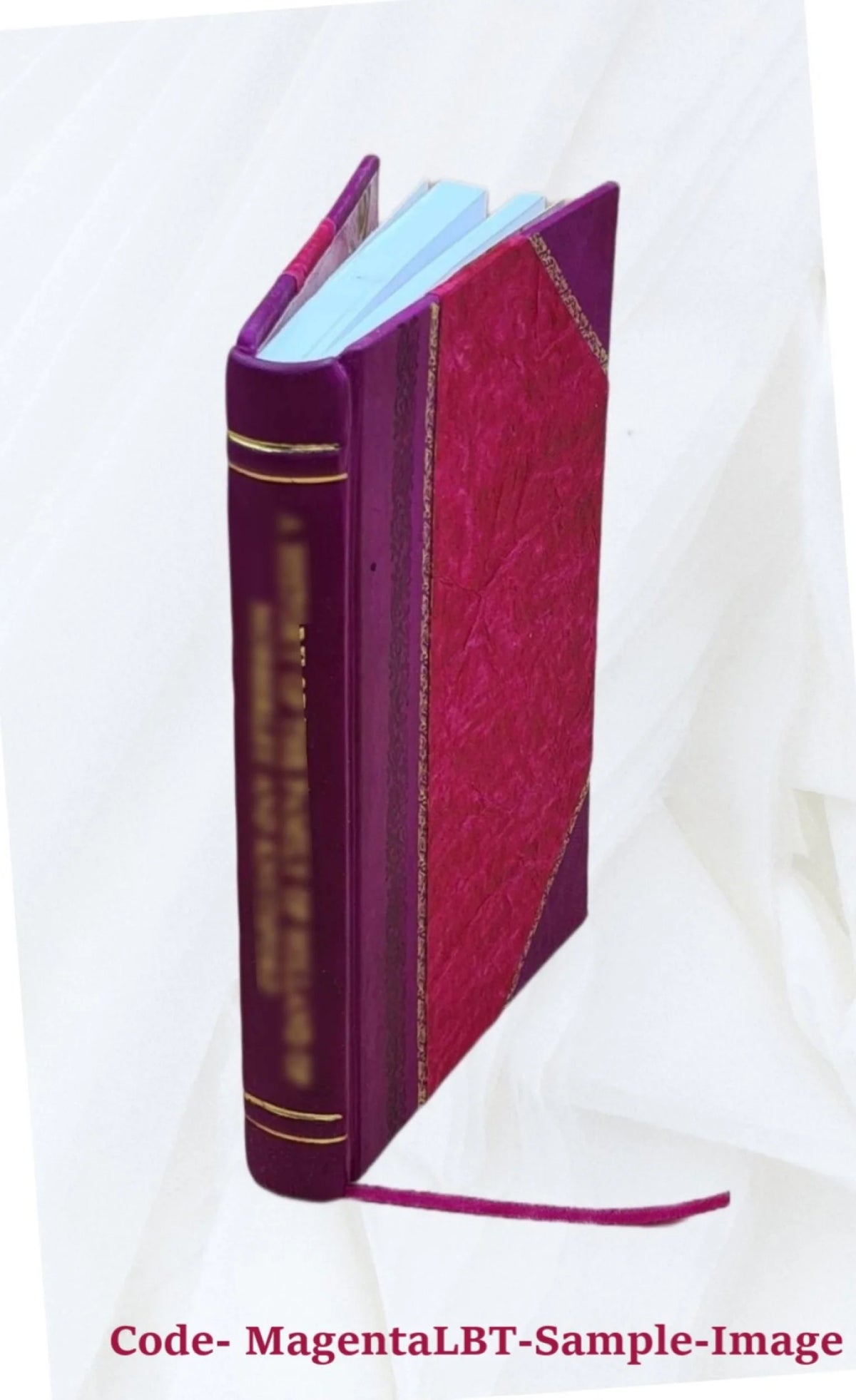 Misiones al cargo del colegio de Nuestra Señora de Los Angeles de la villa de Tarija Leather Bound K806617