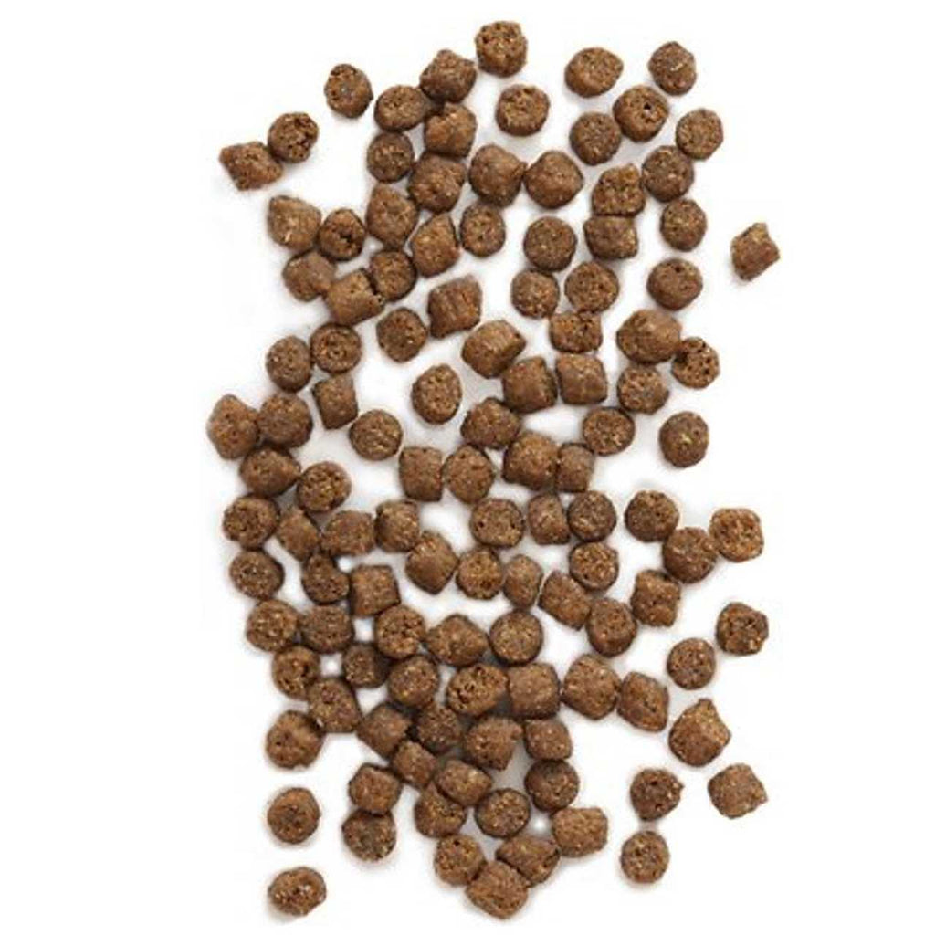 Wild Sea Catch Cat Food O247605