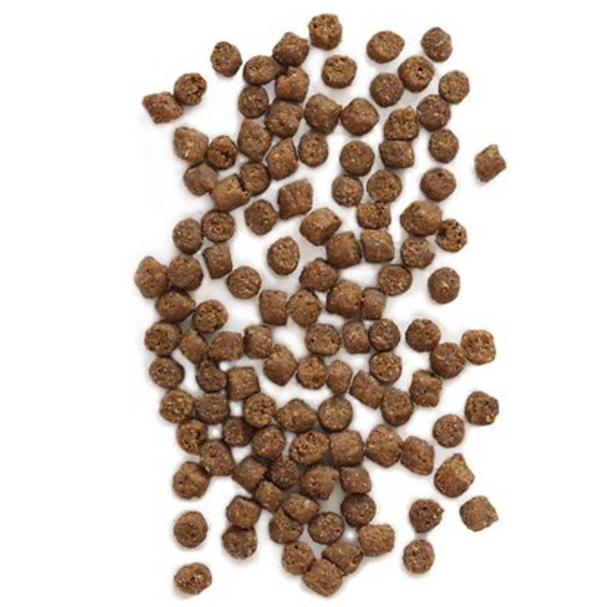 Wild Sea Catch Cat Food O247605