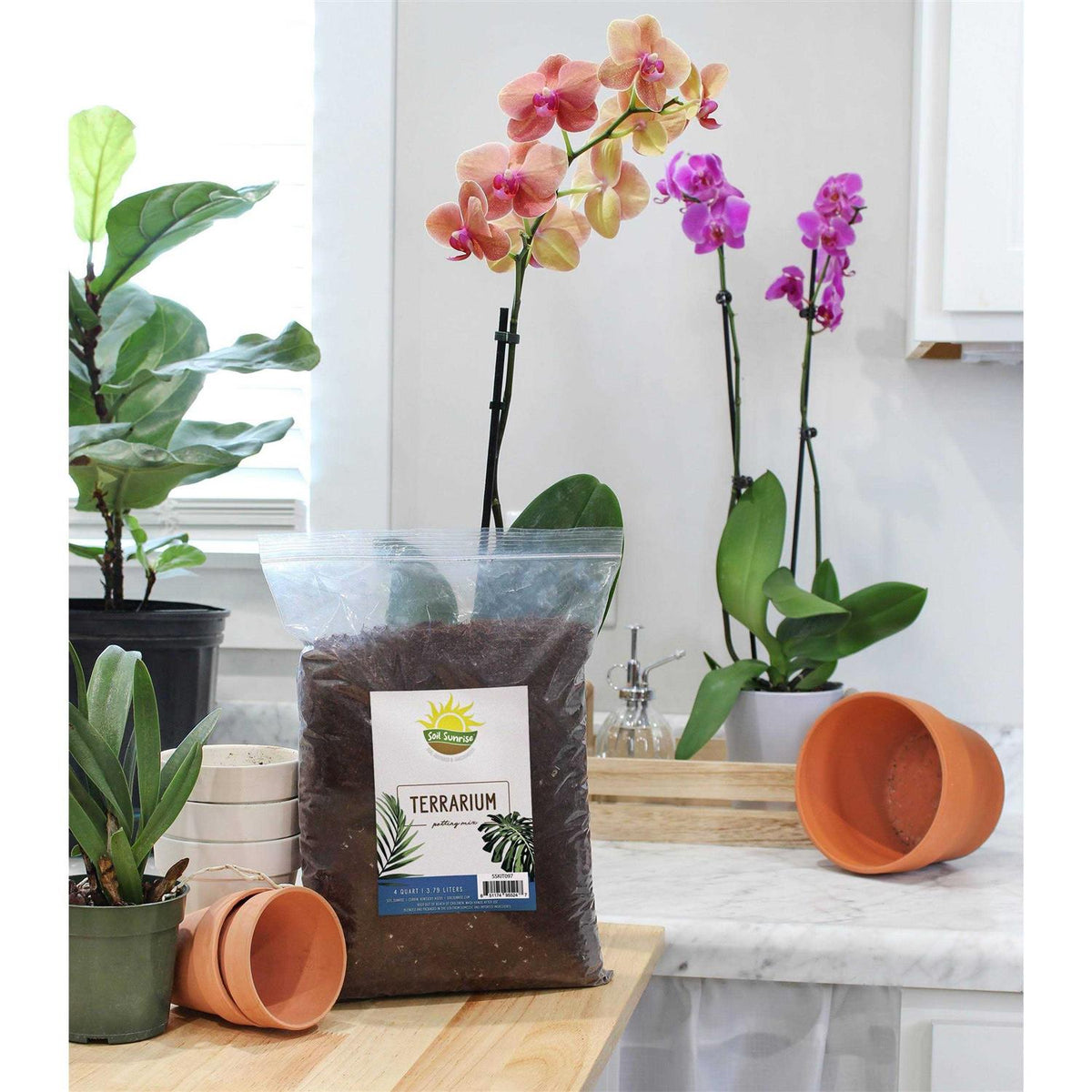 Terrarium Potting Soil Mix Y152