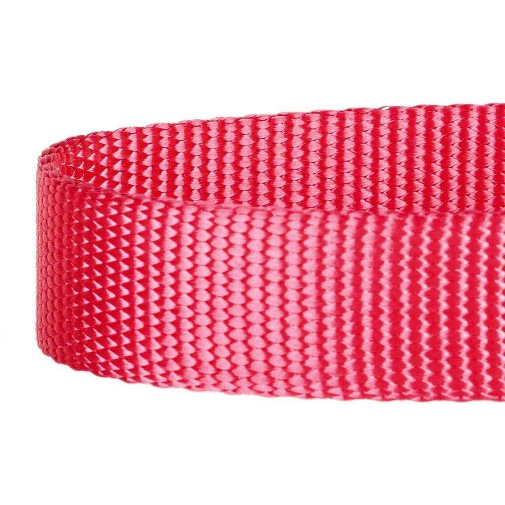 Classic Dog Leash Y426