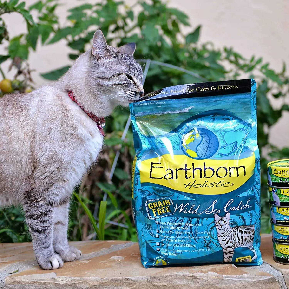 Wild Sea Catch Cat Food O247605
