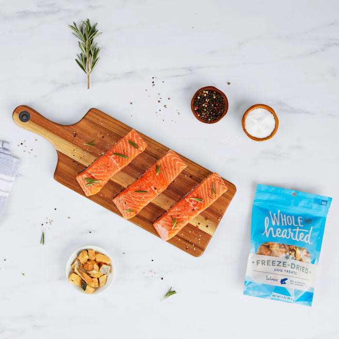 Salmon Freeze Dried Dog Treats D970529