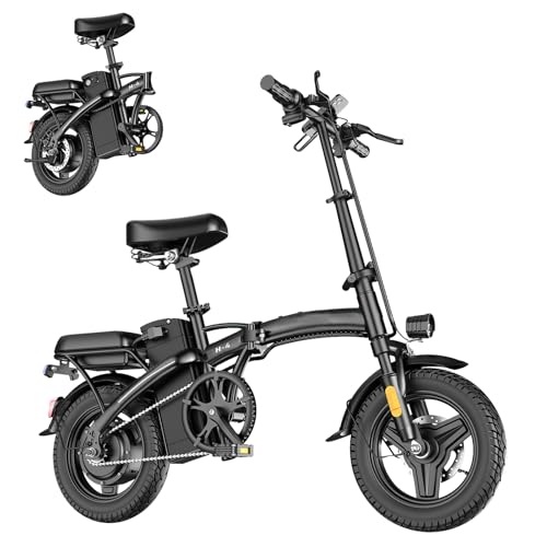 14" Folding Electric Bike with 500W Motor and 48V12AH Removable Battery G273