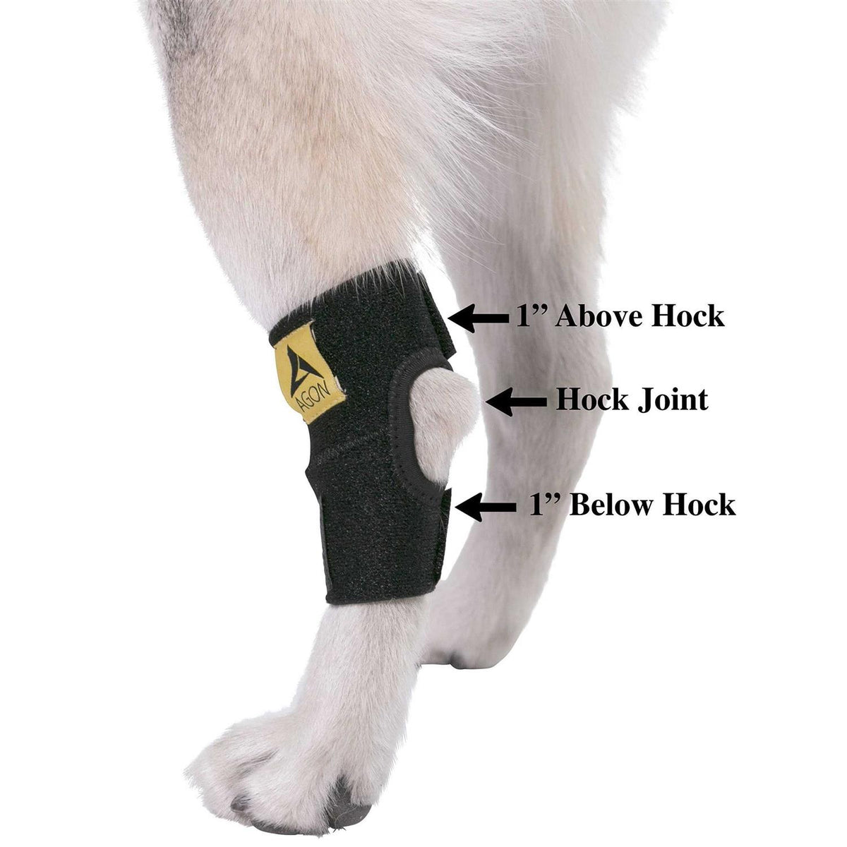 Dog Rear Hock Joint Brace Compression Wrap With Straps A364