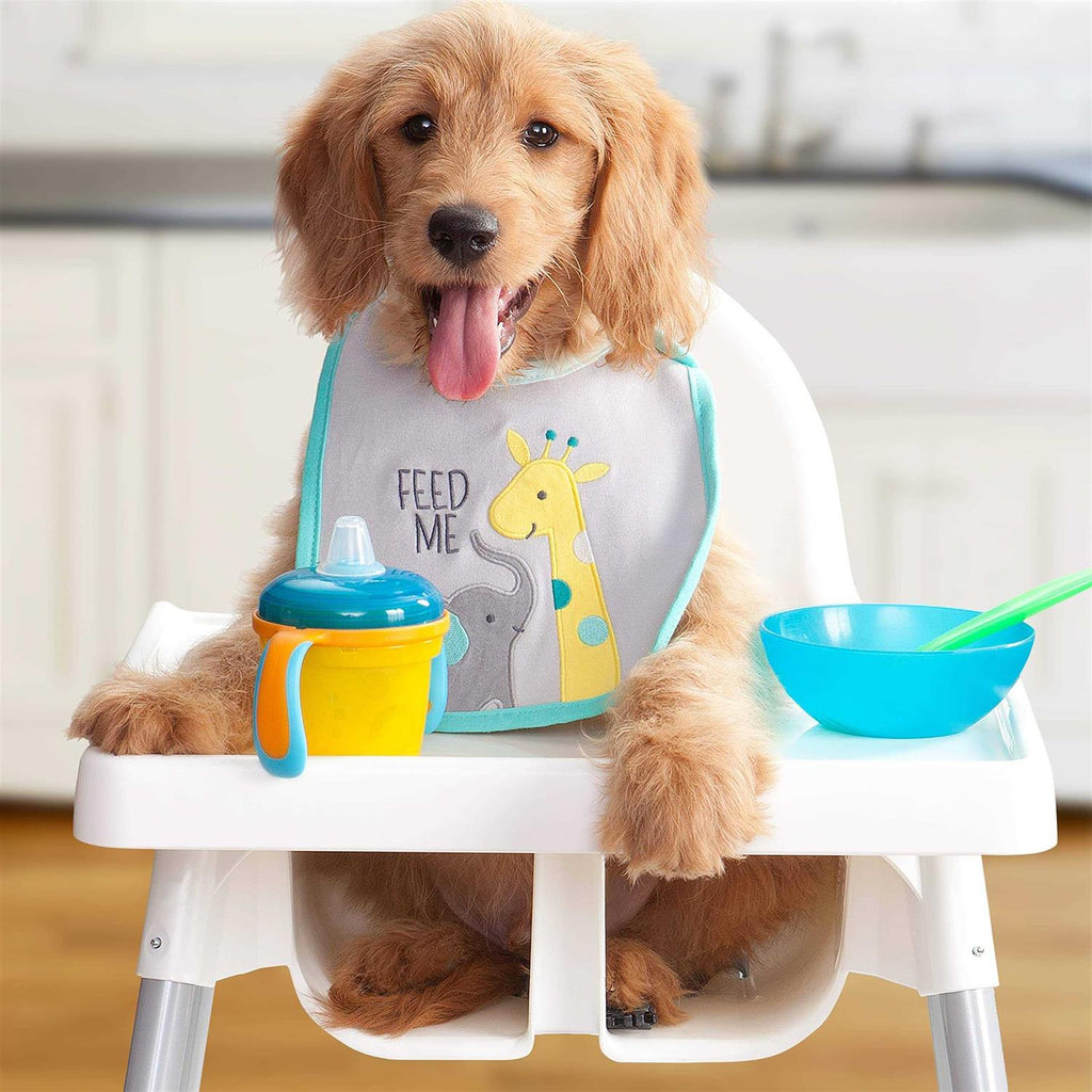 Puppy Dog Food B831256