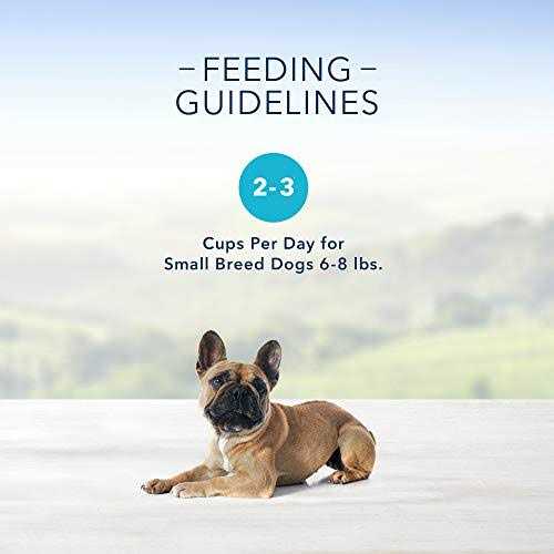 Small Breed Wet Dog Food Variety Pack I3681