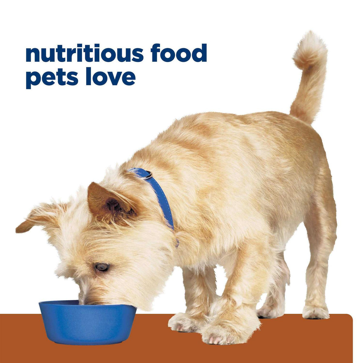 Kidney Care Dry Dog Food with Chicken S62505