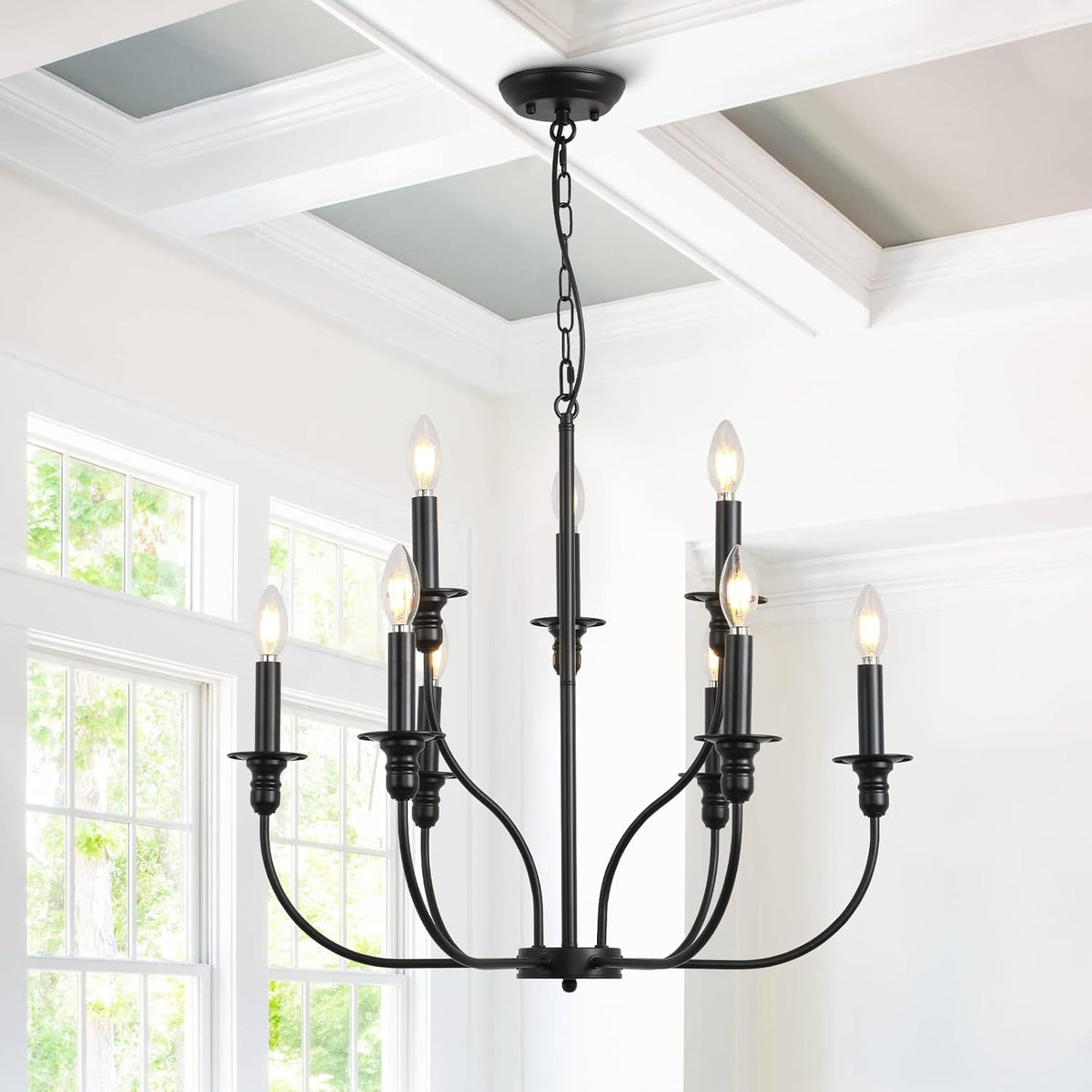 Black 8-Light Candle Chandelier Ceiling Light Fixture F257