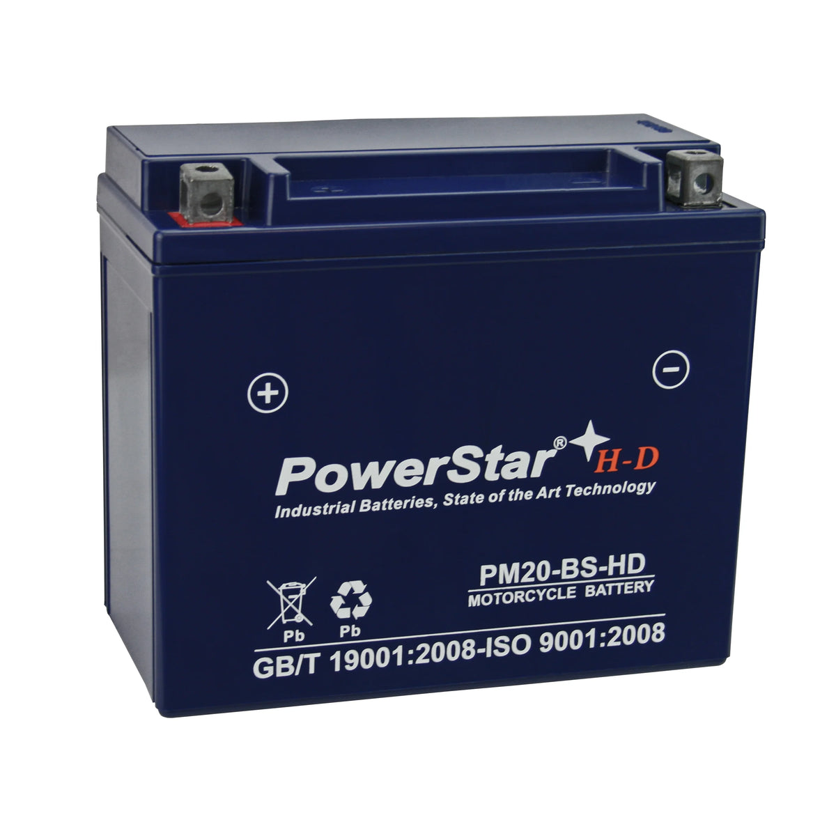 12 Volt Motorcycle Battery T766044