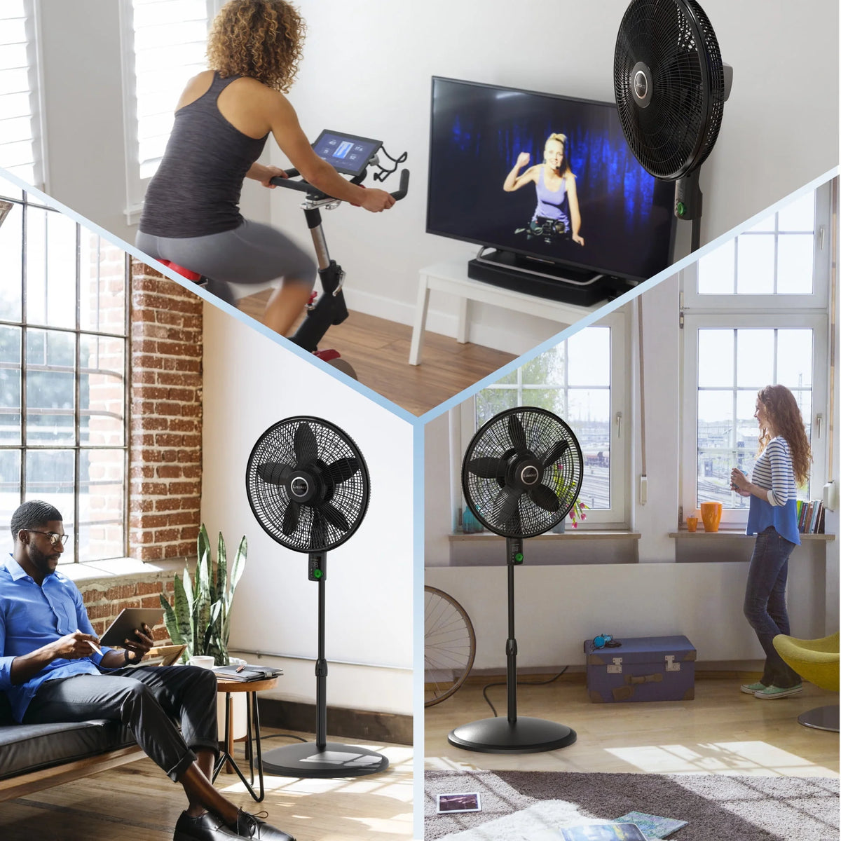 Black Pedestal Fan O351