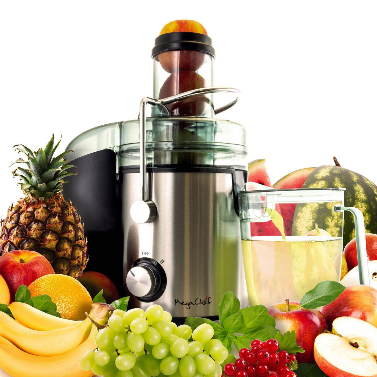 Silver Wide Mouth Juice Extractor D997