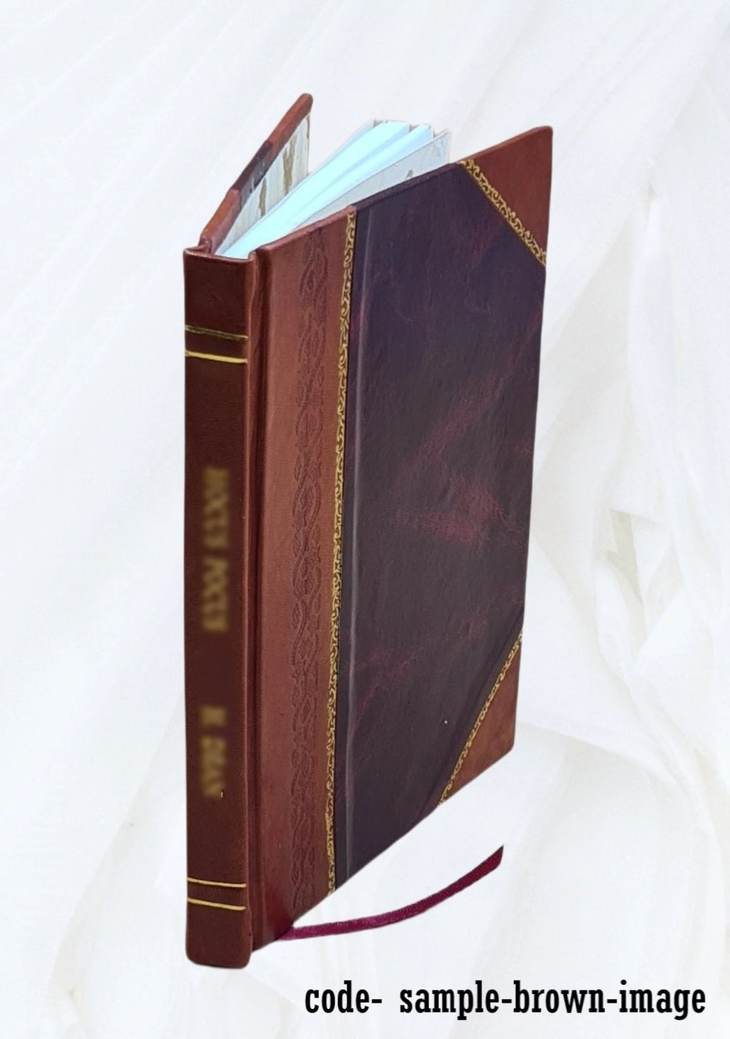 Misiones al cargo del colegio de Nuestra Señora de Los Angeles de la villa de Tarija Leather Bound K806617