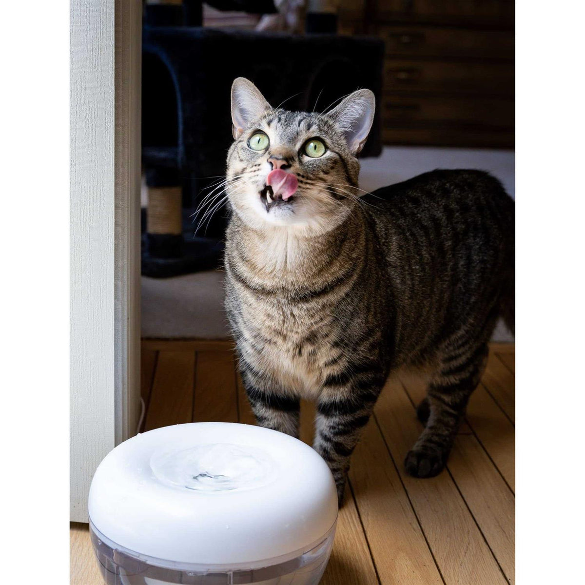 Water Fountain for Cats and Small Dogs with 5-Layer Filter T2335