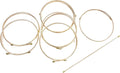 Stainless Steel Brake Line Kit, Pack of 2 E73126