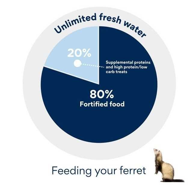 Ferret Formula Q946192