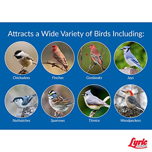 40 lb. Wild Bird Mix Bird Seed B483950