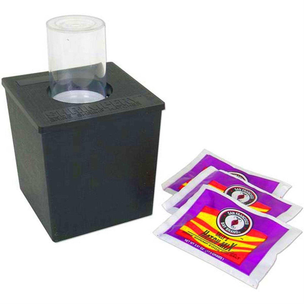 Brine Shrimp Kit Q39565