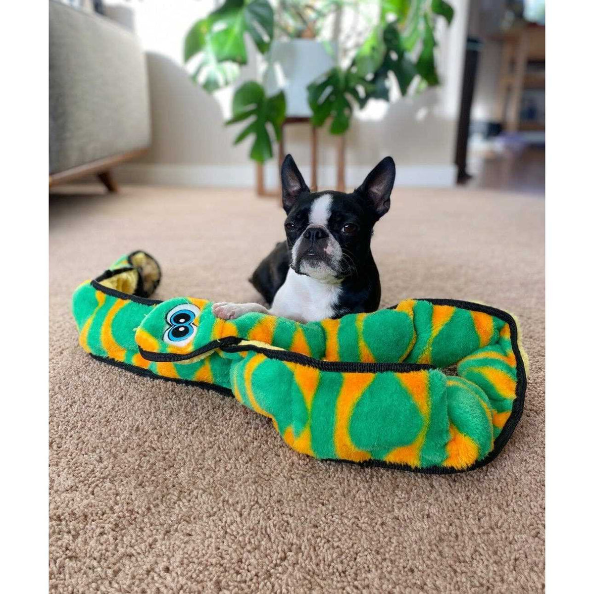 Snake Dog Toy S6470