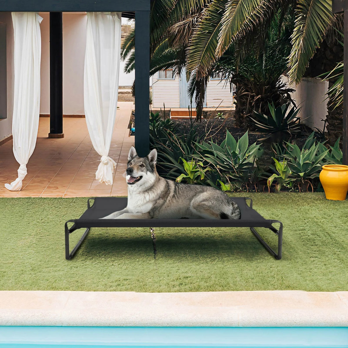 Black Elevated Dog Bed with Washable Mesh B199819