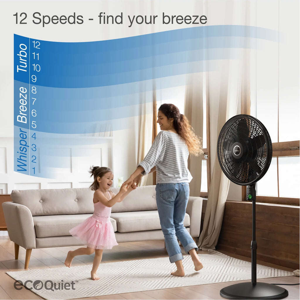 Black Pedestal Fan O351