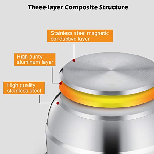 11 Inch Stainless Steel Steamer Pot with Tempered Glass Lid V226381