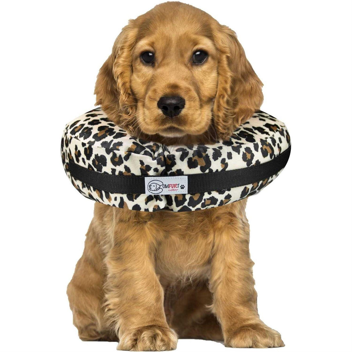 Dog & Cat Recovery Collar S517
