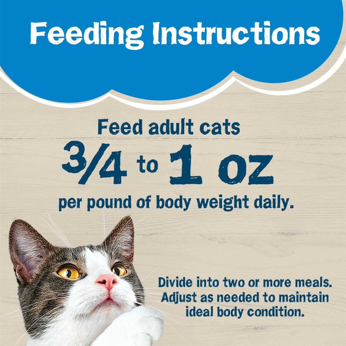 Wet Cat Food D70934