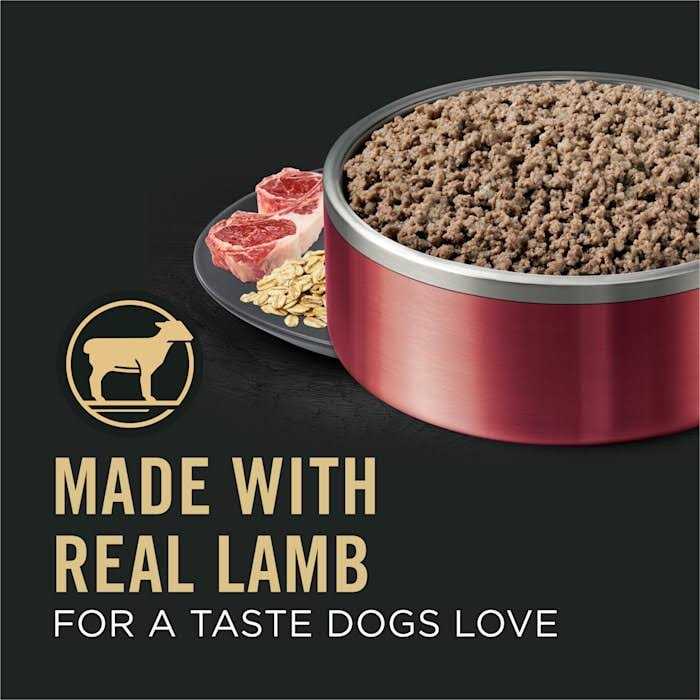 Wet Dog Food Pate Lamb and Oat Meal Entree I4302