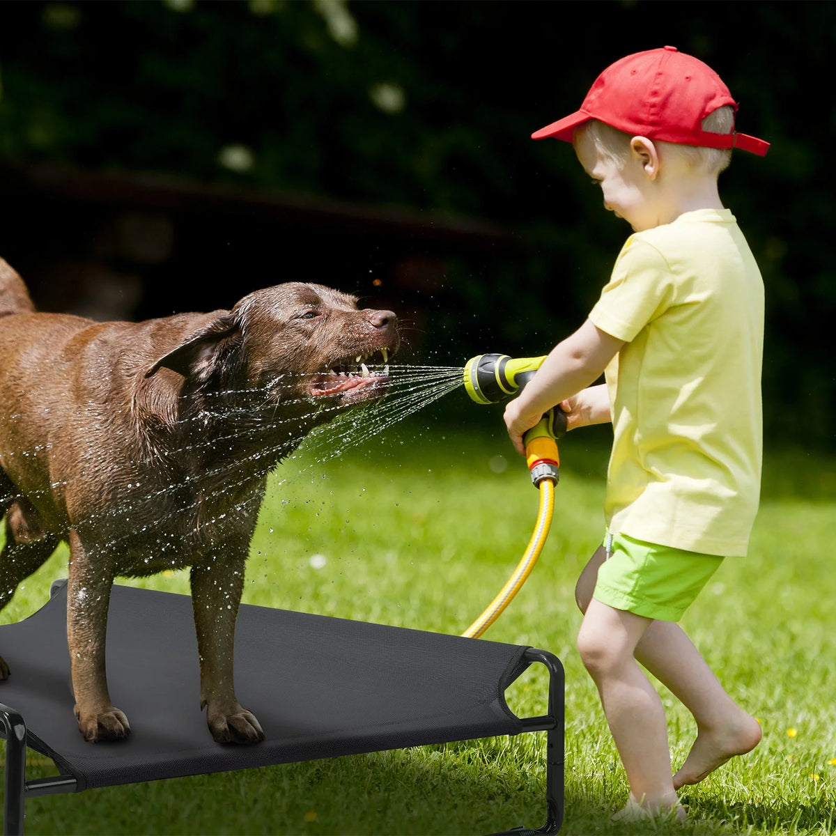 Black Elevated Dog Bed with Washable Mesh B199819