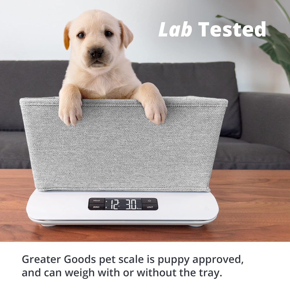 Digital Pet Scale T19935