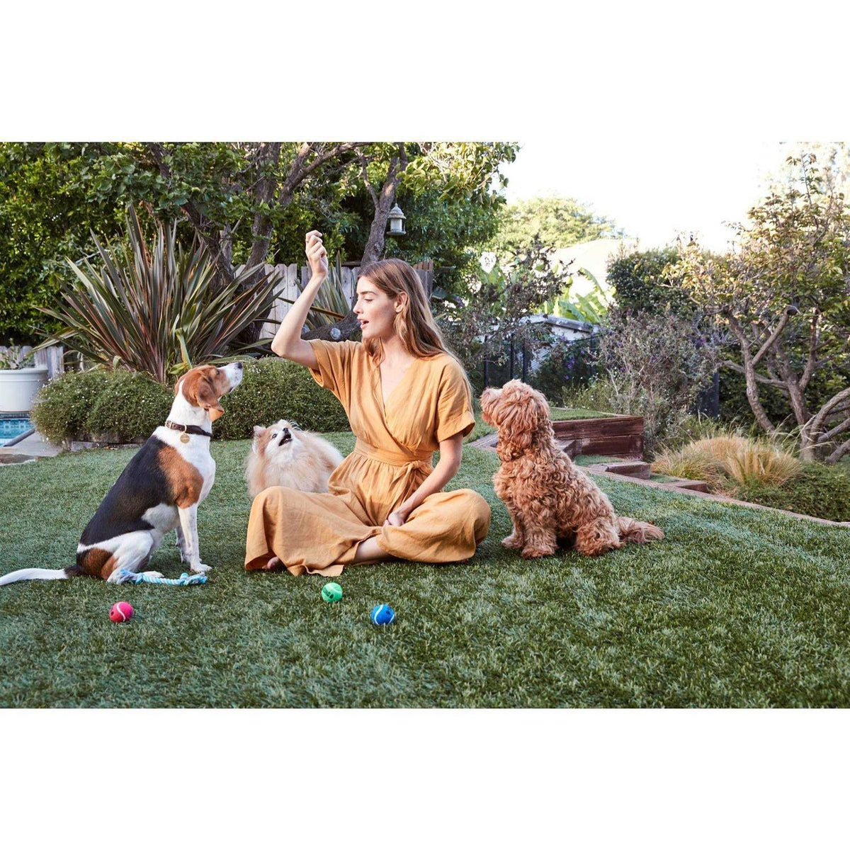 Chicken Strips Dog Treats A24083