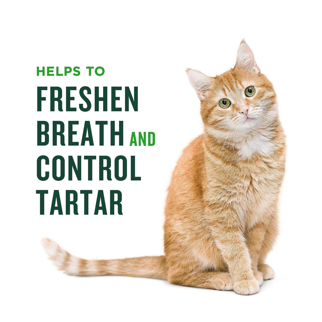 Minties Dental Treats for Cats J2717