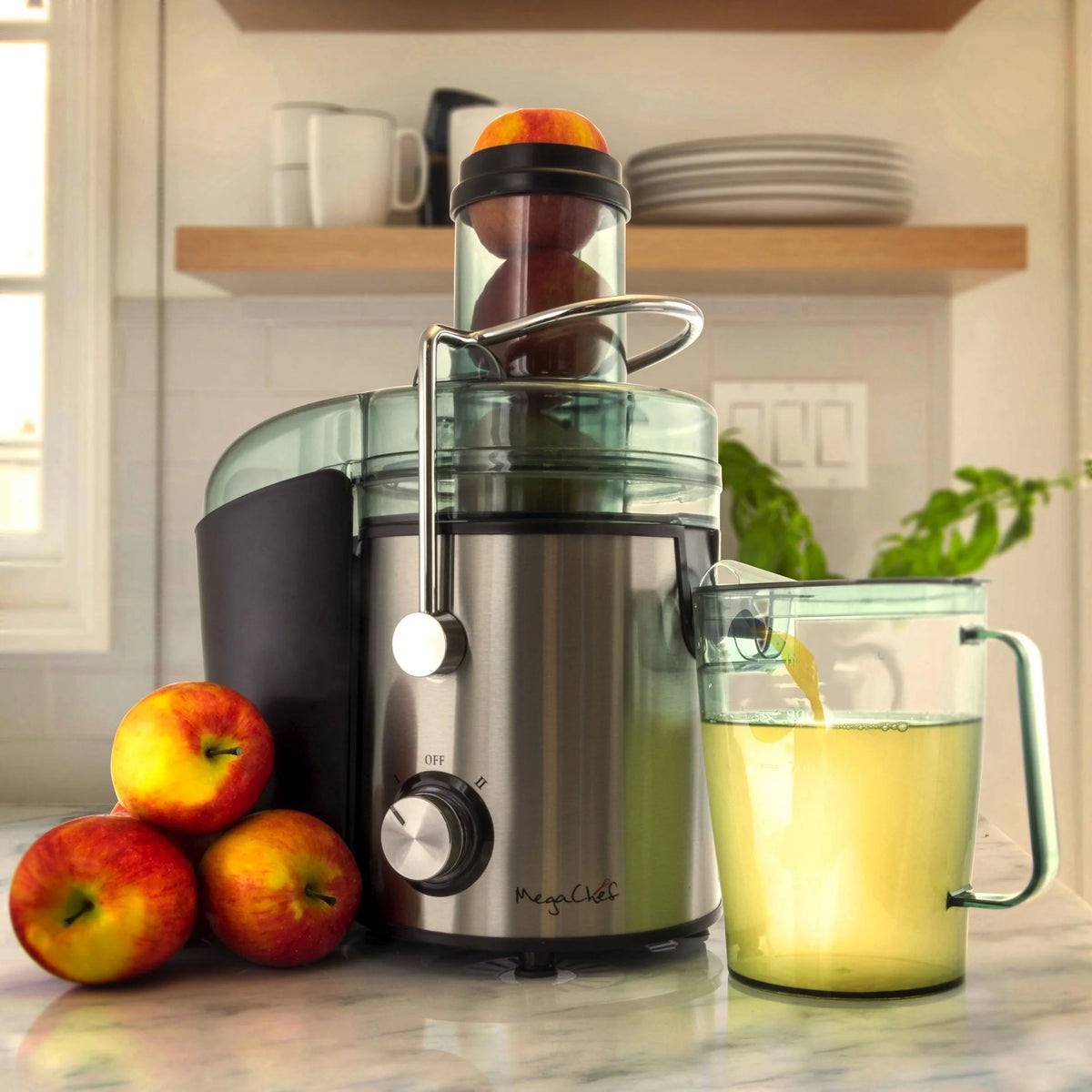 Silver Wide Mouth Juice Extractor D997