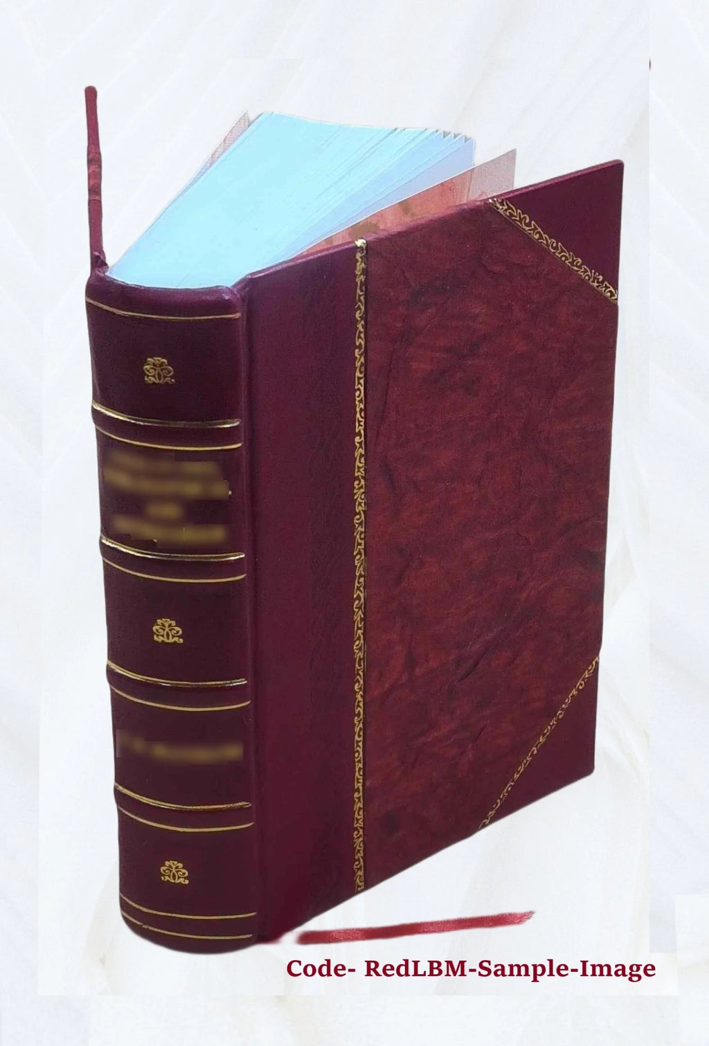 Satirae 16. Ad optimorum exemplarium fidem recensitae varietate lectionum perpetuoque commentario illustratae et indice uberrimo instructae a Ge. Alex. Ruperti, quibus adjectae sun P60205