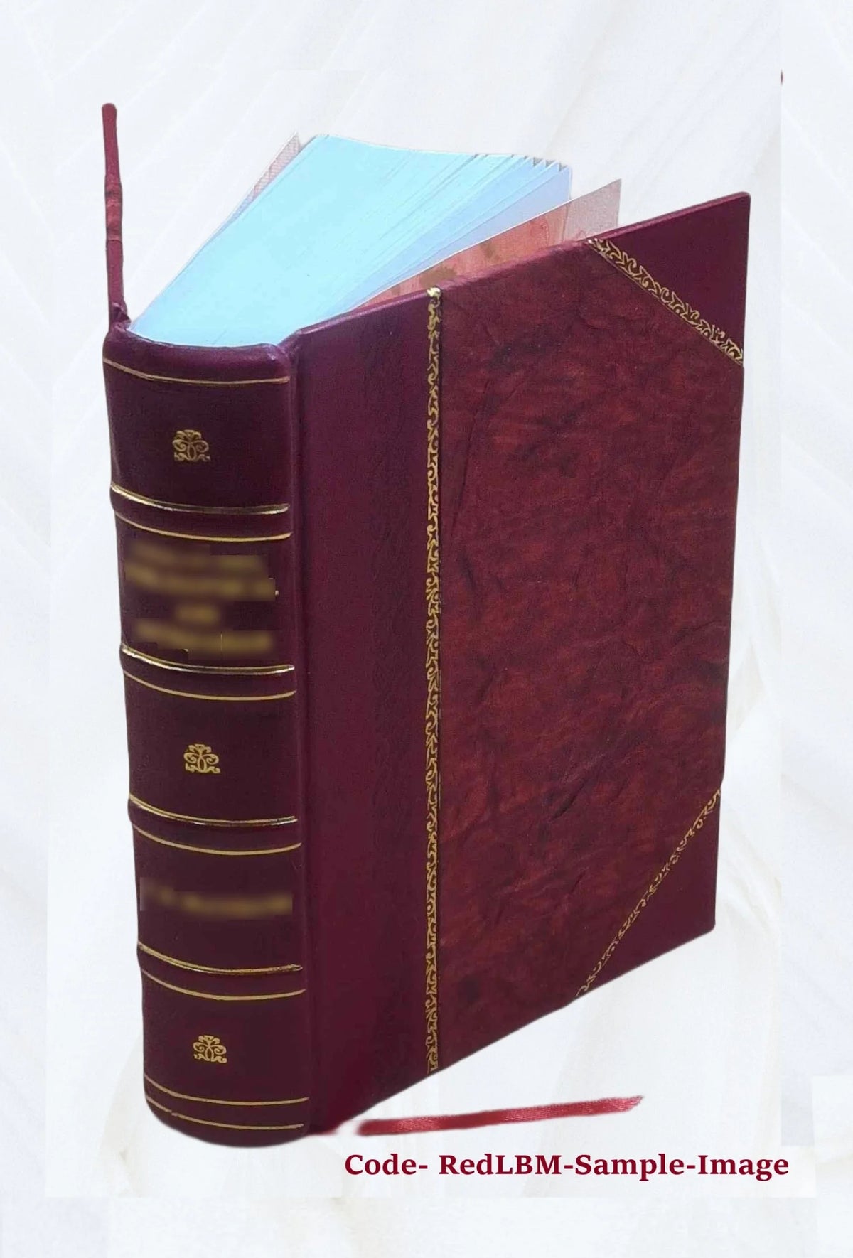 Satirae 16. Ad optimorum exemplarium fidem recensitae varietate lectionum perpetuoque commentario illustratae et indice uberrimo instructae a Ge. Alex. Ruperti, quibus adjectae sun P60205