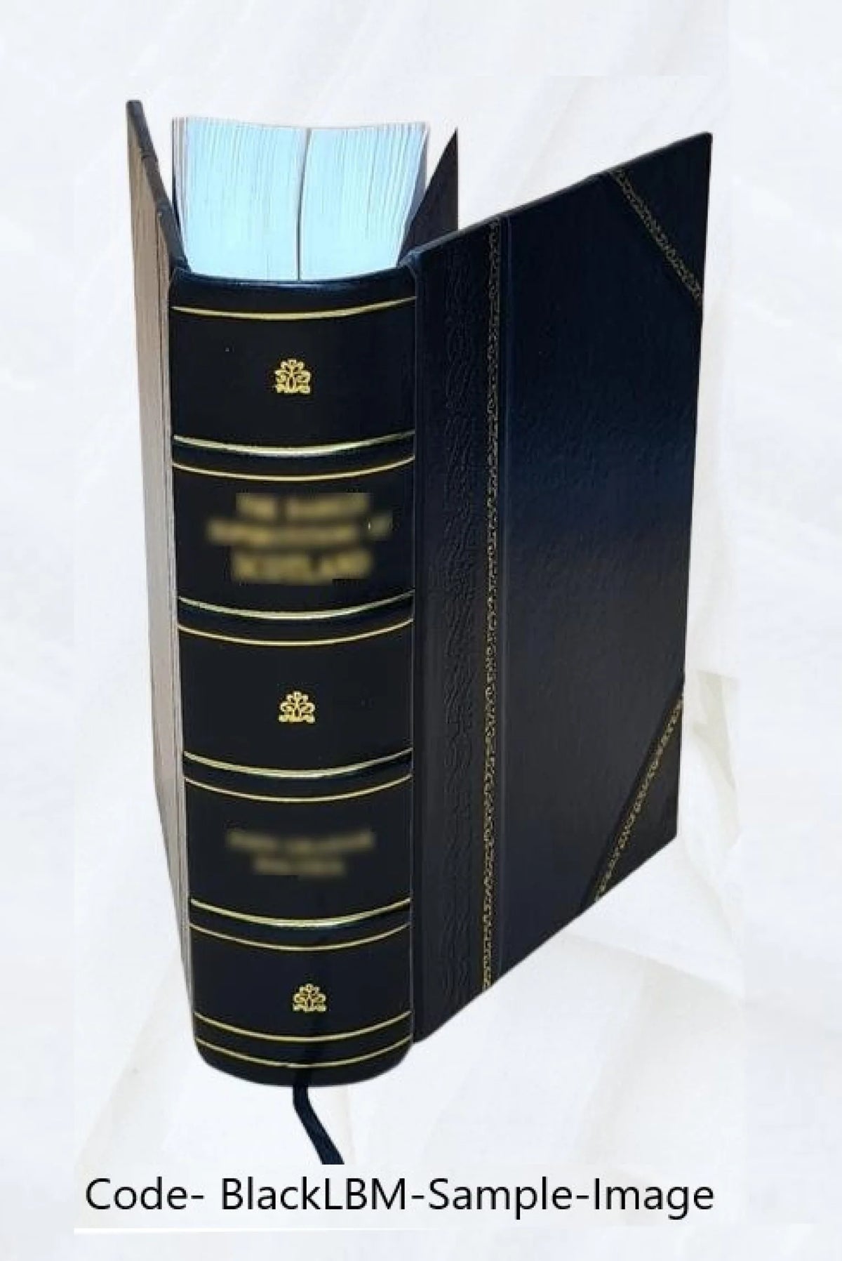Auction developments by Milton C. Work. 1913 Leather Bound S471