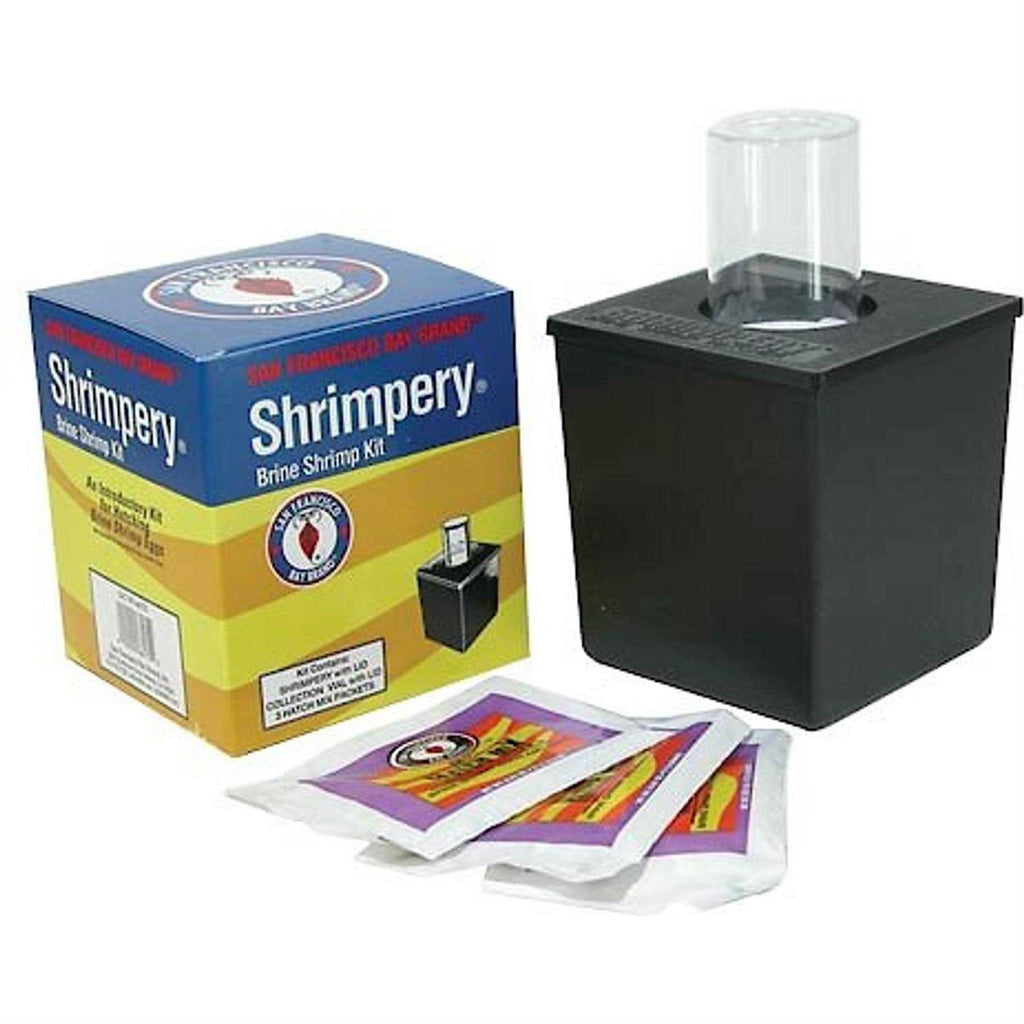 Brine Shrimp Kit Q39565