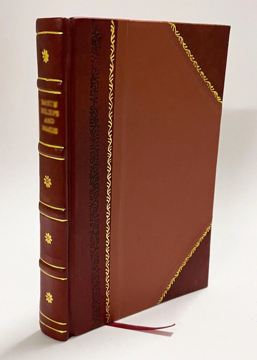 Leather Bound N44338