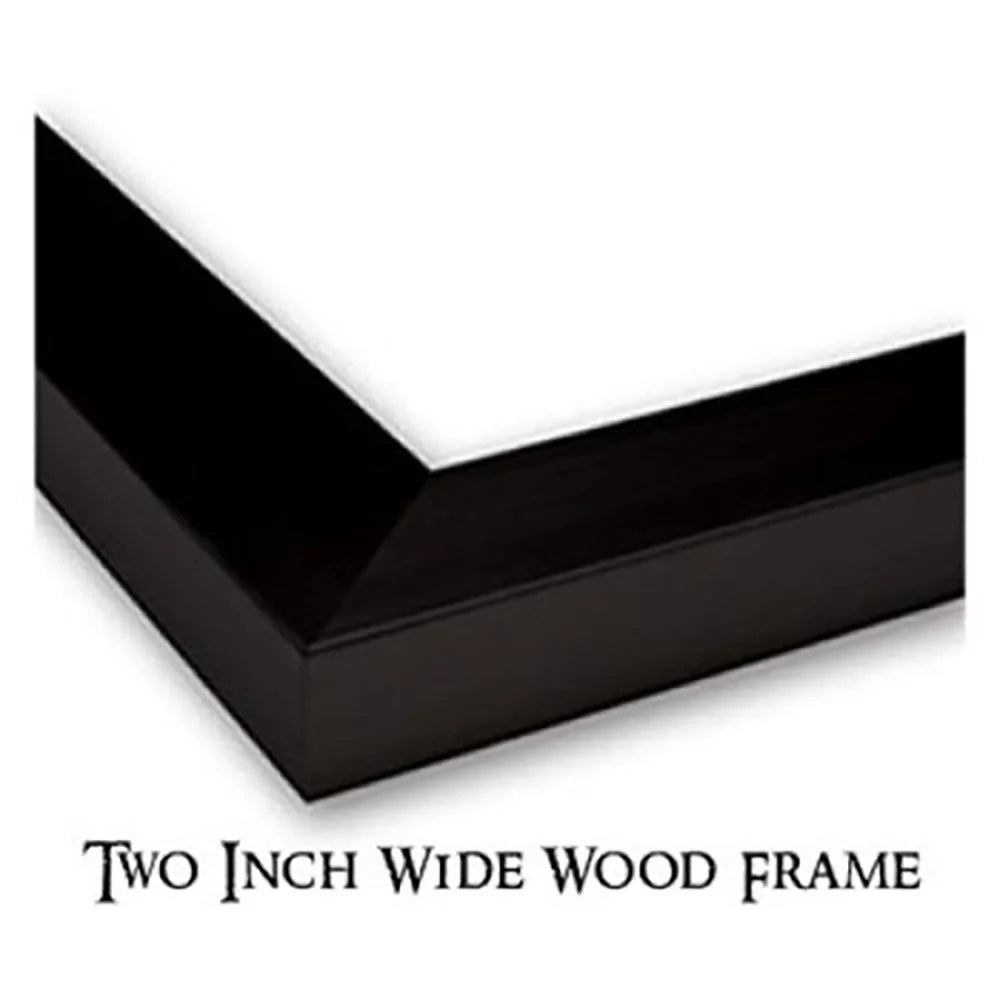 Black Modern Framed Art Print Y6613